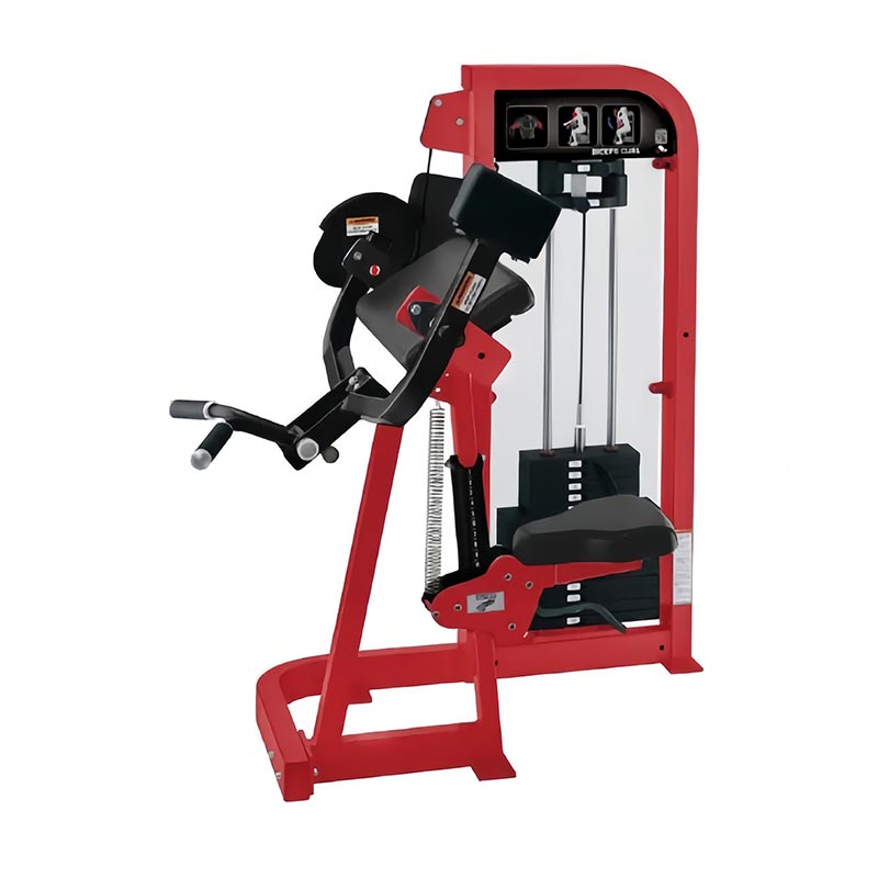 ເລືອກ Biceps Curl Machine